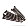 Common Flat Head Zinc Plated Iron Nail